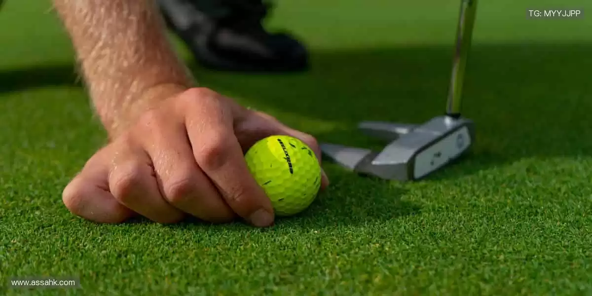 限量周边，收藏荣耀，你的专属体育记忆！🎯✨